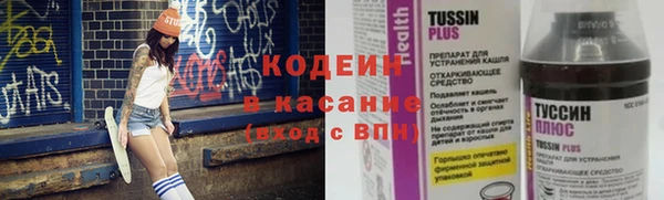 молекула духа Гусев