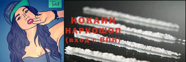молекула духа Гусев