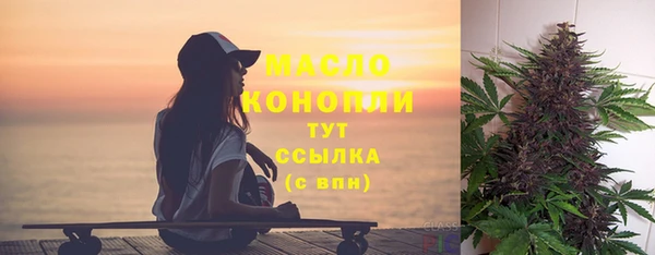 молекула духа Гусев
