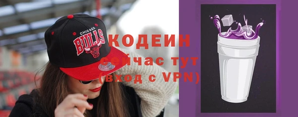 молекула духа Гусев