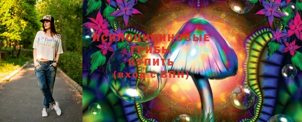 мдпв Билибино